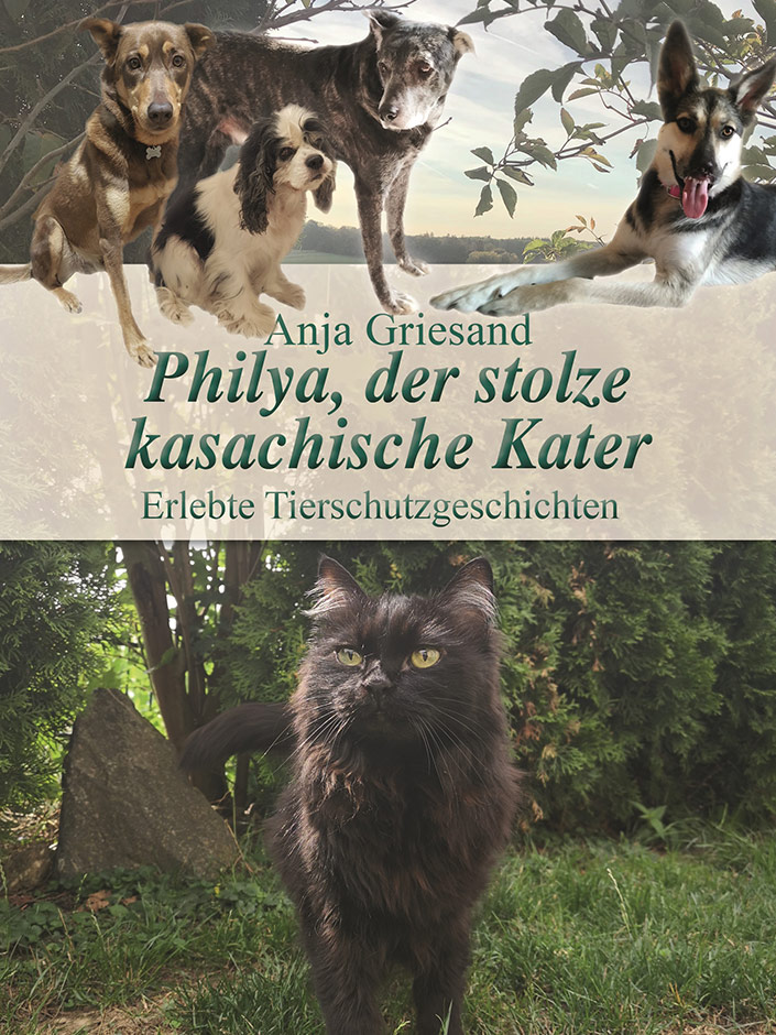Cover des Buches: Philya, der stolze kasachische Kater