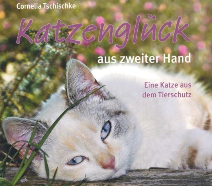 Buchcover Katzenglück aus zweiter Hand