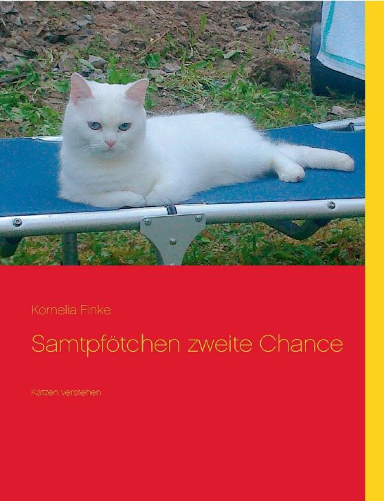 Buchcover Samtpfötchen zweite Chance