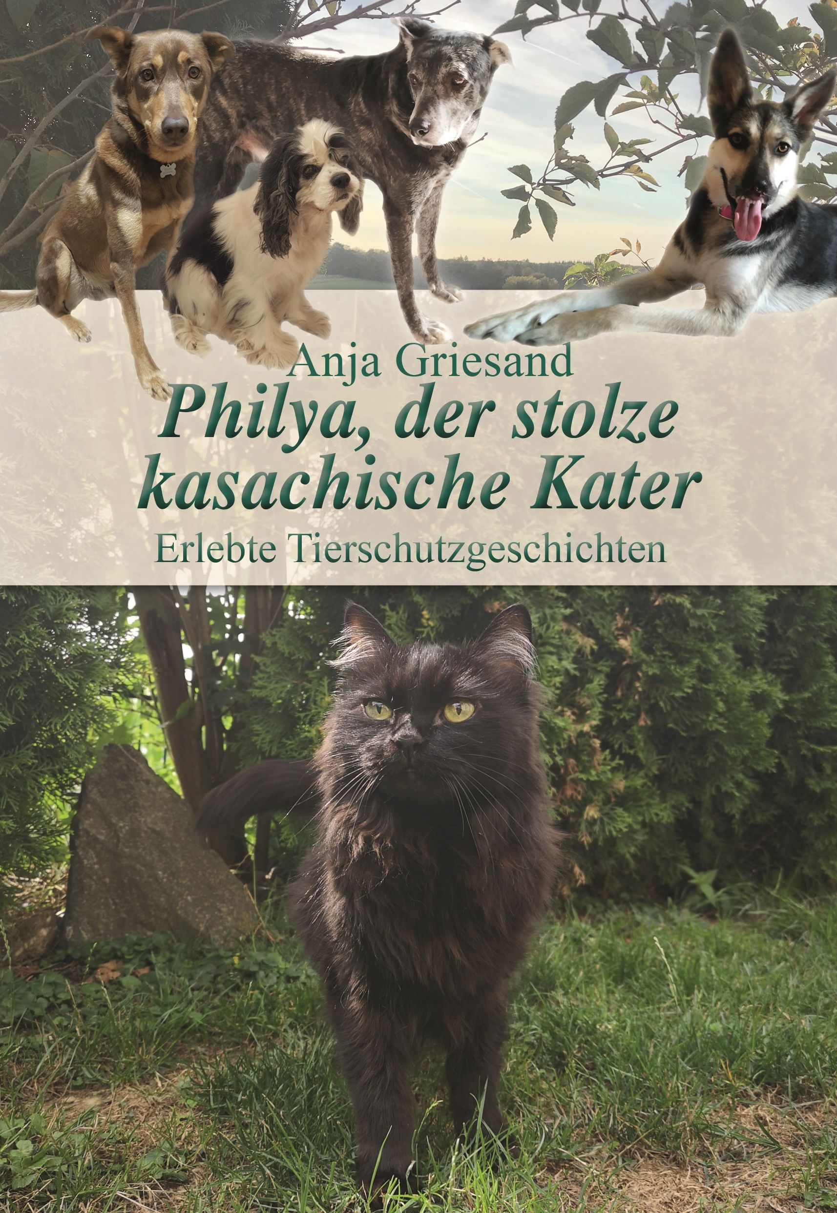 Buchcover-Philya, der stolze kasachische Kater