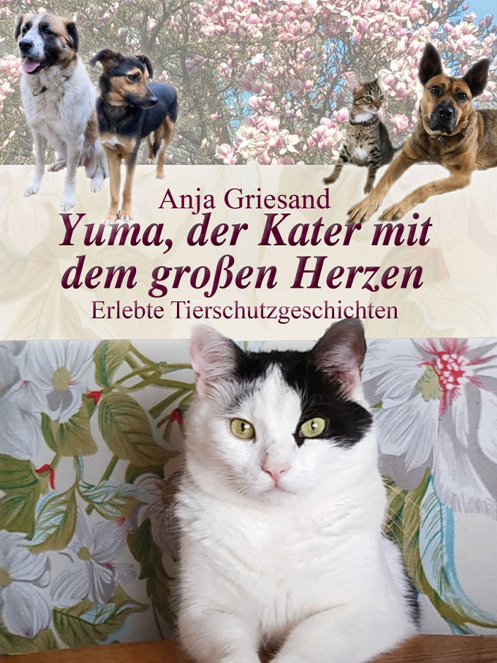 Buchcover: ​Yuma, der Kater mit dem großen Herzen