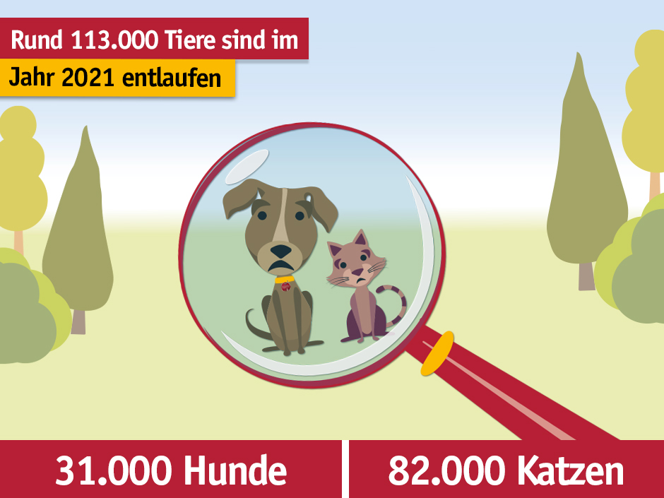 Rund 113.000 Haustiere sind im vergangenen Jahr entlaufen.