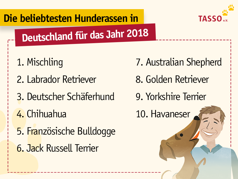 Auch im Jahr 2018 ist der Mischling der unangefochtene Lieblingshund der Deutschen.
