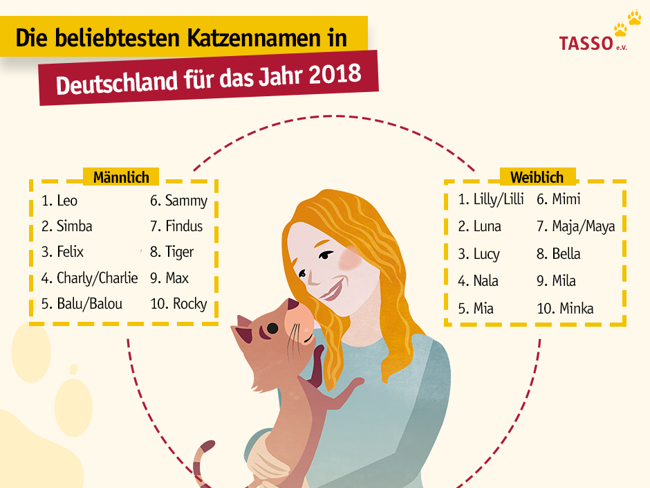 „Typische“ Katzen- und Hunde-Namen sind nicht angesagt, stattdessen setzen Tierhalter seit Jahren auf dieselben Namen für ihre vierbeinigen Freunde.