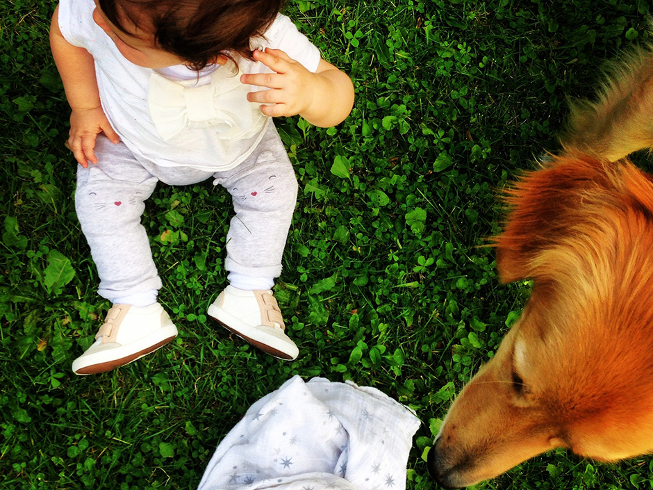 Baby und Hund auf einer Wiese