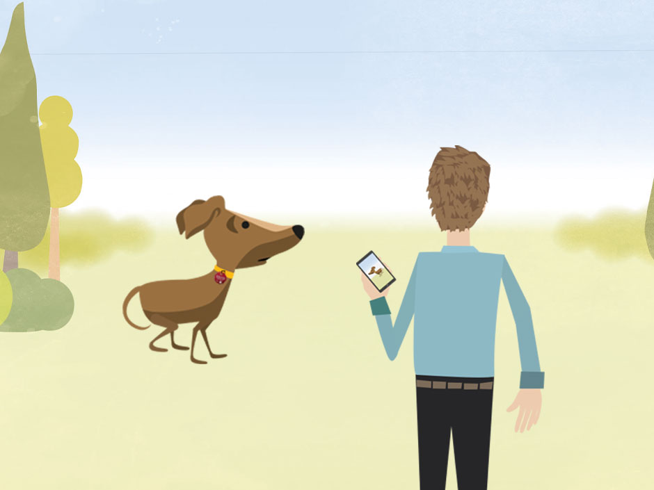 Wissenswertes rund ums Tier Wissensportal TASSO