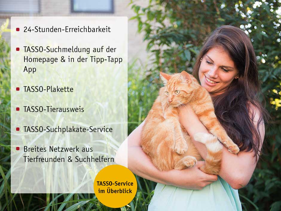 TASSO-Service im Überblick