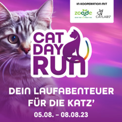 Imagebild von Laufen macht glücklich zum Cat Day Run.