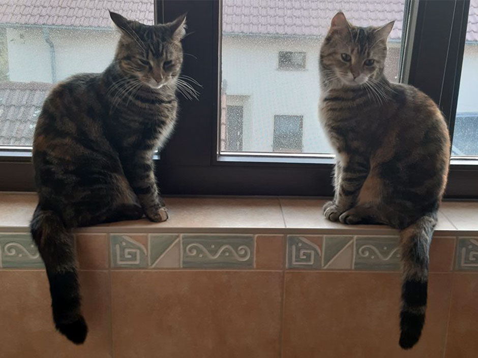 Katze Leni und Schwester Fero