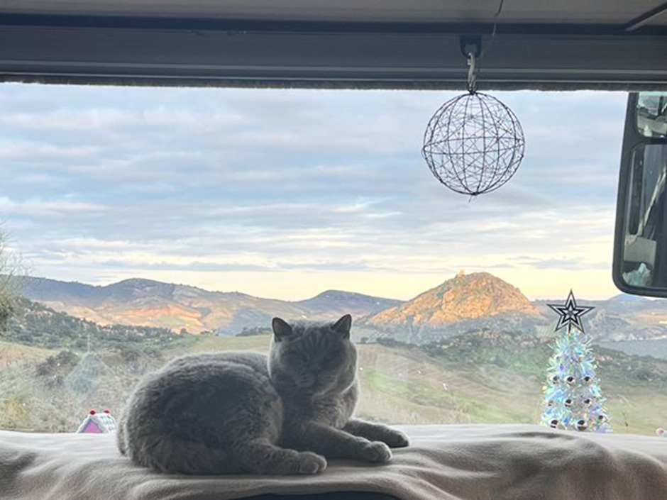 Kater Hugo im Wohnmobil