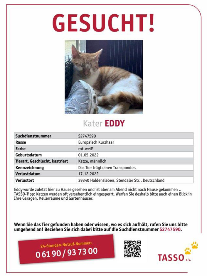 Kater Eddy konnte dank des Transponders identifiziert werden.