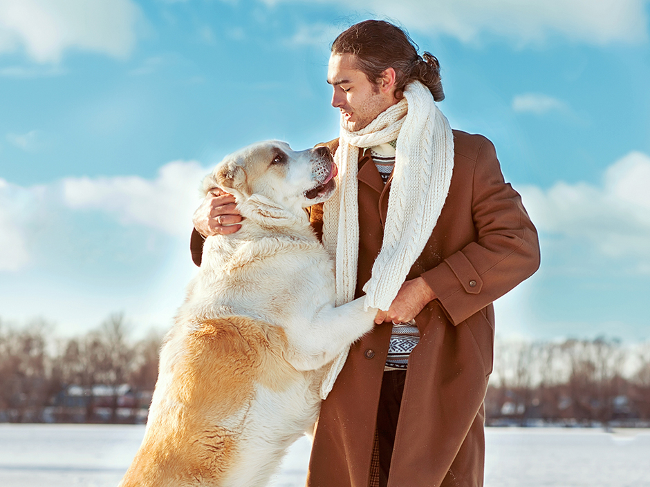 Herrchen und Hund beim Spaziergang.