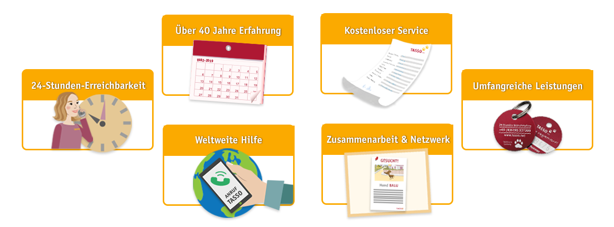 Grafik zu den TASSO-Services.