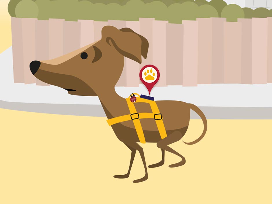 Grafik eines Hundes mit einem GPS-Tracker am Geschirr.