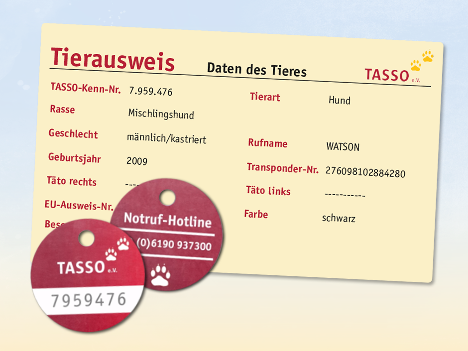 TASSO-Plakette und Tierausweis mit der TASSO-Kenn-Nummer.