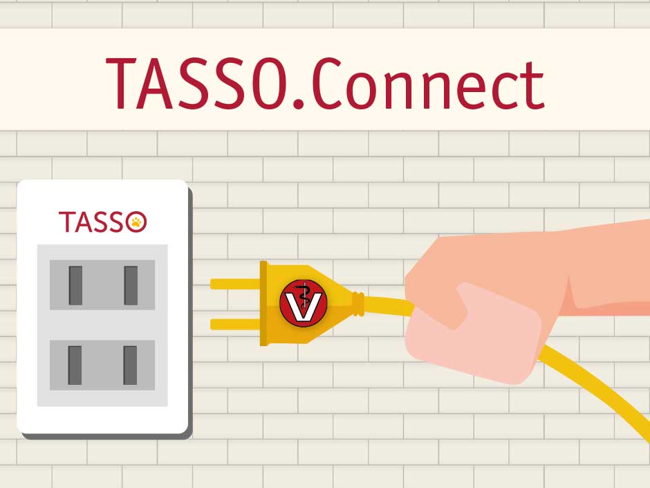 Datenübertragung per TASSO-Schnittstelle
