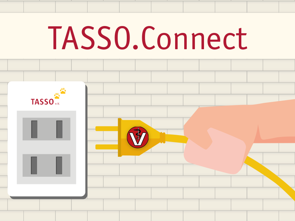 Datenschnittstelle TASSO