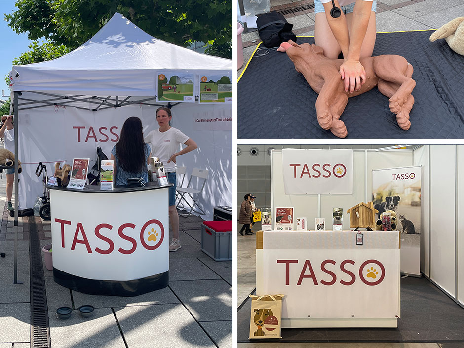 Collage: TASSO vor Ort Stand mit Logo.
