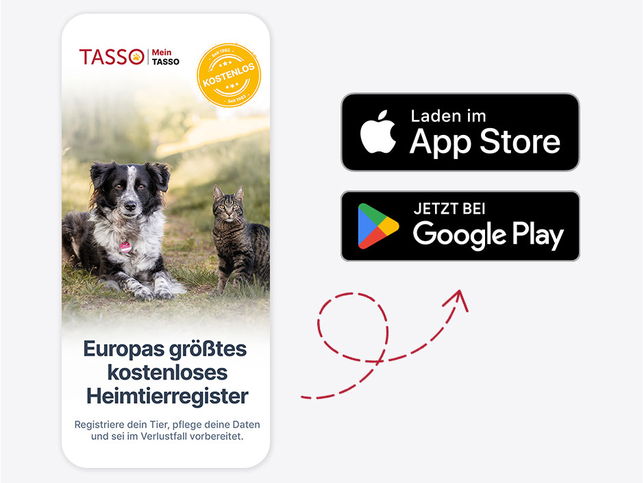Grafik: Smartphones mit TASSO-App Screenshots.