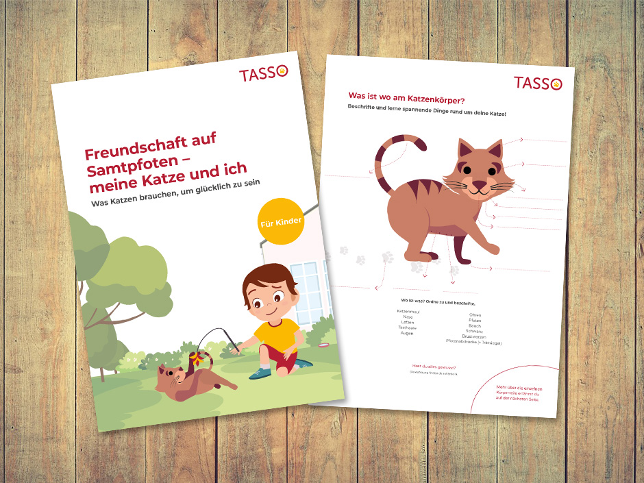 Die bildreiche Mitmach-Katzenfibel von TASSO, für Grundschulkinder.