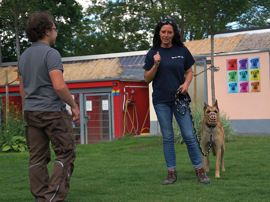 Ein Hund in der Hundeschule