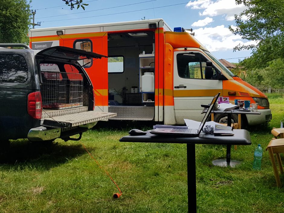 Mobile Klinik, um Kastrationsaktionen in Rumänien durchzuführen.