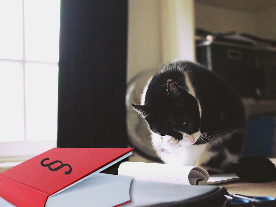 Eine Katze sitzt neben einem Buch auf dem Tisch