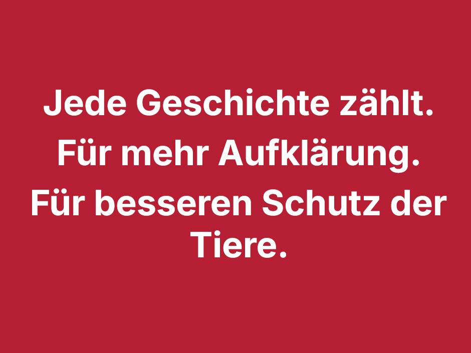 Grafik: Jede Geschichte zählt.