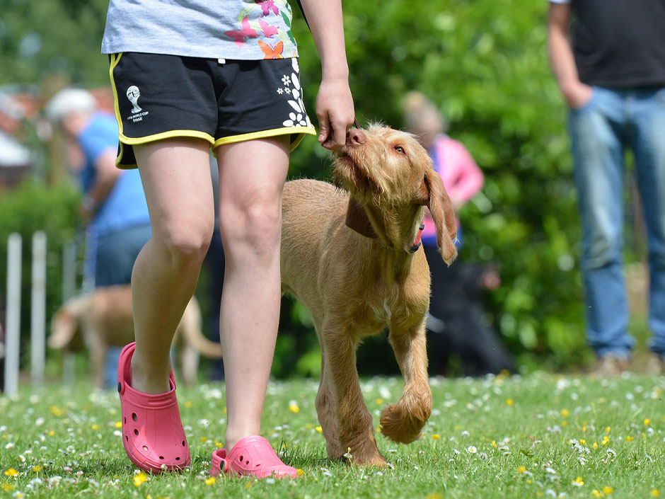 Ein Kind mit ihrem Hund bei der Hundeschule.