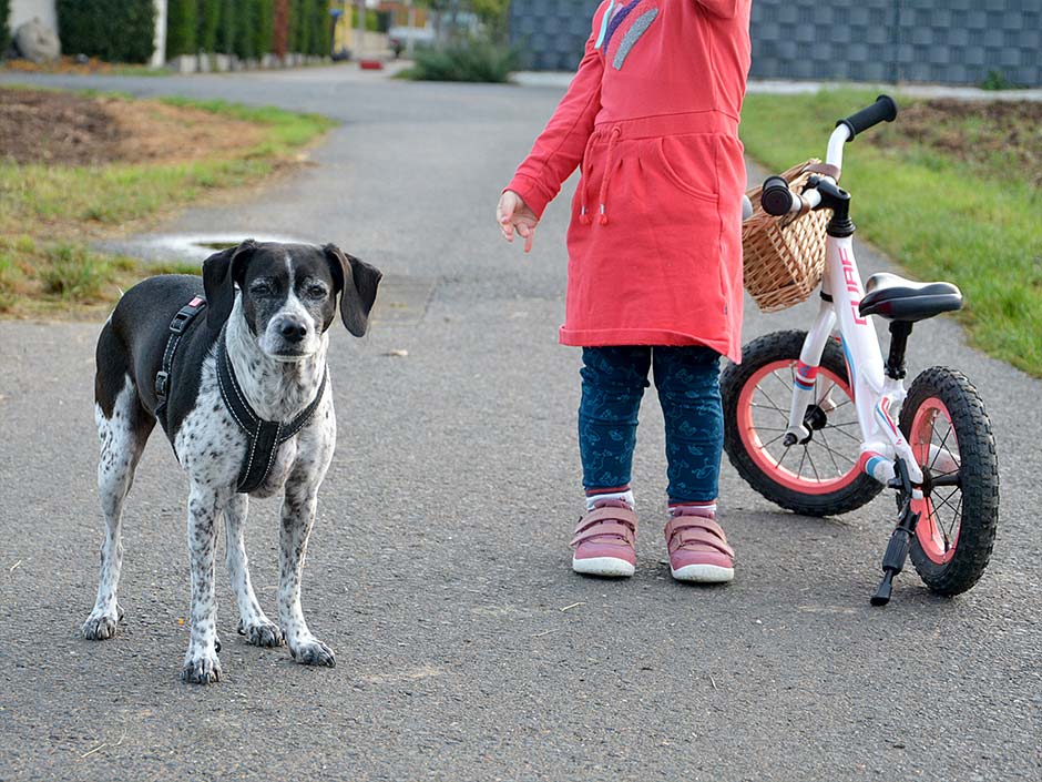 Ein Kind steht draußen neben einem Hund.