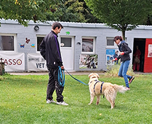 Kostenlose Seminare für Tierheime



